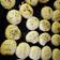 El cooksnap de julieta batalla cuando hizo Scones de queso.