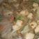 Cooksnap dari Tya Ivana untuk resep Sayur Sop Bakso Puyuh
