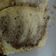 Cooksnap dari Dela Nurmayanti untuk resep Marble Butter Cake