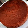 Martina Agyemang's cooksnap of when they made Vanilla cake 1kg.