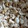 Cooksnap dari Sylvia Devi untuk resep Caramel Popcorn ala XXI
