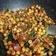 El cooksnap de Ana Miguéns Ces cuando hizo Garbanzos fritos con bacon y espárragos.