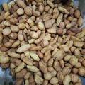 Cooksnap dari Maiikity Empuss untuk resep Biji Ketapang Renyah dan Empuk