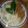 El cooksnap de Romiss Peralta cuando hizo Ravioles con salsa crema y champiñones.