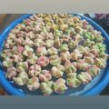 Cooksnap dari Lina Sugiarti untuk resep "Bolu Kukus JaDul" (Lembut, Harum, Merekah)