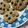 Cooksnap dari Mia Putri untuk resep New York Times' Chewy Chocochip Cookies