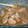 El cooksnap de Recetas-Consum cuando hizo Pollo a la cerveza mexicano.