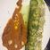 El cooksnap de Inés cuando hizo Canelón de aguacate y langostinos con salsa romesco.