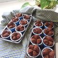 Cooksnap dari Dyah Yana UMMI FADILA untuk resep Brownis cup utk jualan