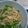 Cooksnap dari Evi Khalisa 🍜DjowoKlaten untuk resep Oseng Buncis Segar
