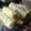 Joshua Alviando's cooksnap of when they made Japanese Cabbage Rolls ロールキャベツ.