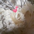 Cooksnap dari Dapue Cutkak Iva/Cakes AL Fatih/Iva Cookies untuk resep Swiis Meringue Buttercream