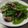 潘俊霖的(簡單料理) 的 👩🏻‍🍳甜豆炒蘑菇 cooksnap