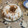 El cooksnap de Antonia Indurain Rubi cuando hizo Flan de berenjenas con salsa de queso.