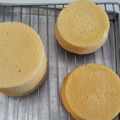 Cooksnap dari Anjar.Omaajisa untuk resep Condensed Milk Cotton Cake