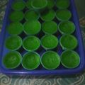 Cooksnap dari Echa Bae untuk resep Srikaya khas Palembang