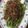 Cooksnap dari Dian M untuk resep Buncis Masak Szechuan