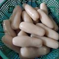Cooksnap dari Meli Fauziah untuk resep Pempek dos (takaran sendok)
