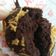 Cooksnap dari Laila Hasanah Panggabean untuk resep Brownies Panggang