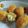Cooksnap dari Nailil Rochmania M untuk resep Kroket telur puyuh