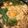 Cooksnap dari Latifah Indra untuk resep Steamboat Homemade Tom Yum
