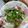Cooksnap dari Choirunisa Amalia untuk resep Gyudon ala Yoshinoya tanpa Mirin dan Dashi