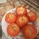El cooksnap de Dai Gelmini cuando hizo Tomate relleno light (sin arroz) Comida rápida y sana.