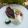 Cooksnap dari lasmini untuk resep Bebek guling
