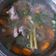 Cooksnap dari Ummu Faris untuk resep Sop Ayam ala Pak Min Klaten