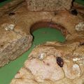 El cooksnap de Estefania Cecilia cuando hizo Bizcocho RealFood.