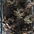 El cooksnap de Carlos Martin Chuecos cuando hizo Alcachofas al horno.