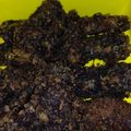Cooksnap dari Ida Relawati untuk resep Pisang goreng krispi