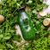 Cooksnap dari Tyas yodha untuk resep Jus Sayur Sehat