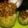 Vaishali Arora's cooksnap of when they made Chana Rice.