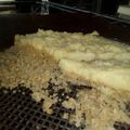 El cooksnap de Laura Scubin cuando hizo Galletas de avena y fécula de mandioca!!!.