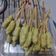 Cooksnap dari Riezma Oktavia untuk resep Sempol Ayam wortel