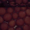 Kavya Rani का कुकस्नैप जब उन्होंने गुलाब जामुन (gulab jamun recipe in Hindi) बनाया था।