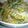 Cooksnap dari Evi Khalisa 🍜DjowoKlaten untuk resep Tauge Tempe