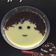 Cooksnap dari yovi yana untuk resep Silky Puding Coklat (puding kribo)