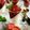 Cooksnap dari Ecy untuk resep Panna Cotta with Strawberry sauce