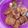 Cooksnap dari GOOGLE Aja untuk resep Ayam Tempe Masak Kecap