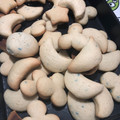 El cooksnap de belen cuando hizo Galletitas fáciles y rápidas.
