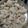 Khyati Joshi Trivedi's cooksnap of when they made વઘારેલી ઈડલી.