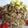 کوک اسنپ لیلی بعد از امتحان کردن سالاد مرغ و آووکادو.