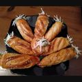 صورة من 🌹ام قصي &سيلين&آية🌹، شاركها بعد تجربة وصفة لي كورني مالحين بصلصة الجبن والدجاج 👌😋