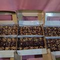 Cooksnap dari linda untuk resep Fudgy brownies shiny crust