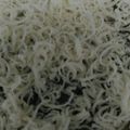 Cooksnap dari Kartini Sukaryo untuk resep Bolu simple,enak,lembuuttt