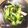 棠棠 的 蒜香蠔油青江菜【萬家香香菇素蠔油】 cooksnap