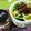 林惠珠 的 Xo醬乾拌麵 cooksnap