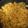 Bansi Kotecha's cooksnap of when they made ફરાળી ખીચડી.